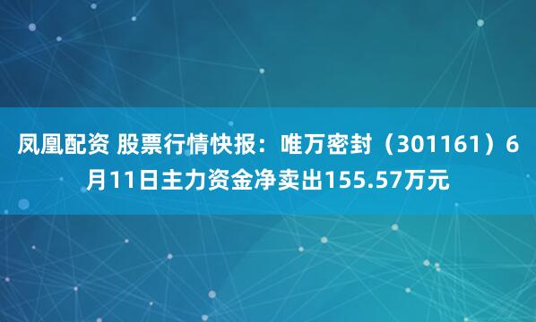 凤凰配资 股票行情快报：唯万密封（301161）6月11日主力资金净卖出155.57万元