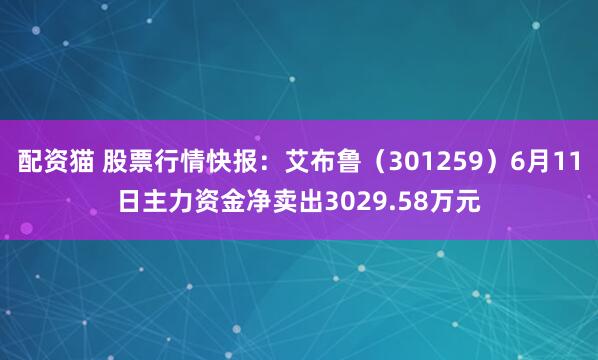 配资猫 股票行情快报：艾布鲁（301259）6月11日主力资金净卖出3029.58万元