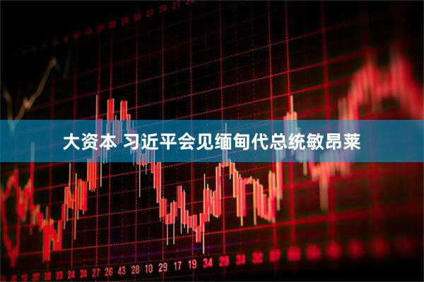 大资本 习近平会见缅甸代总统敏昂莱