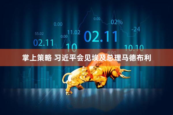 掌上策略 习近平会见埃及总理马德布利