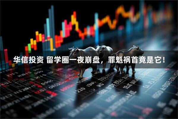 华信投资 留学圈一夜崩盘，罪魁祸首竟是它！